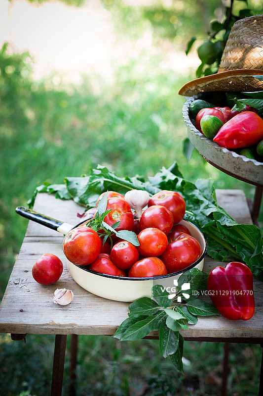 木桌上的新鲜蔬菜图片素材