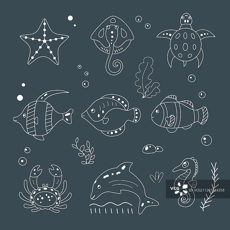 卡通线条手绘海洋动物合集图片素材