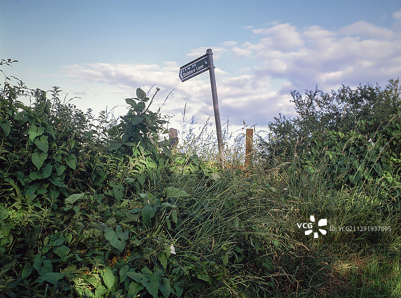 英国埃塞克斯奥肯登大伦敦边界外的乡村小路图片素材