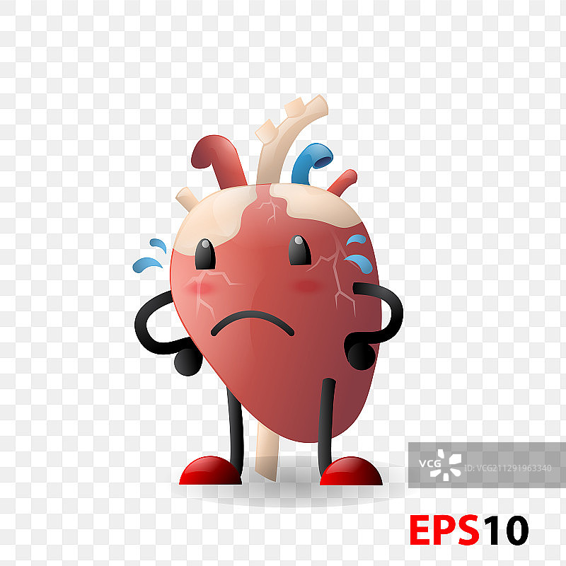 逼真的人体内部器官爱心图片素材