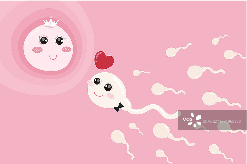 精子向卵子游动图片素材