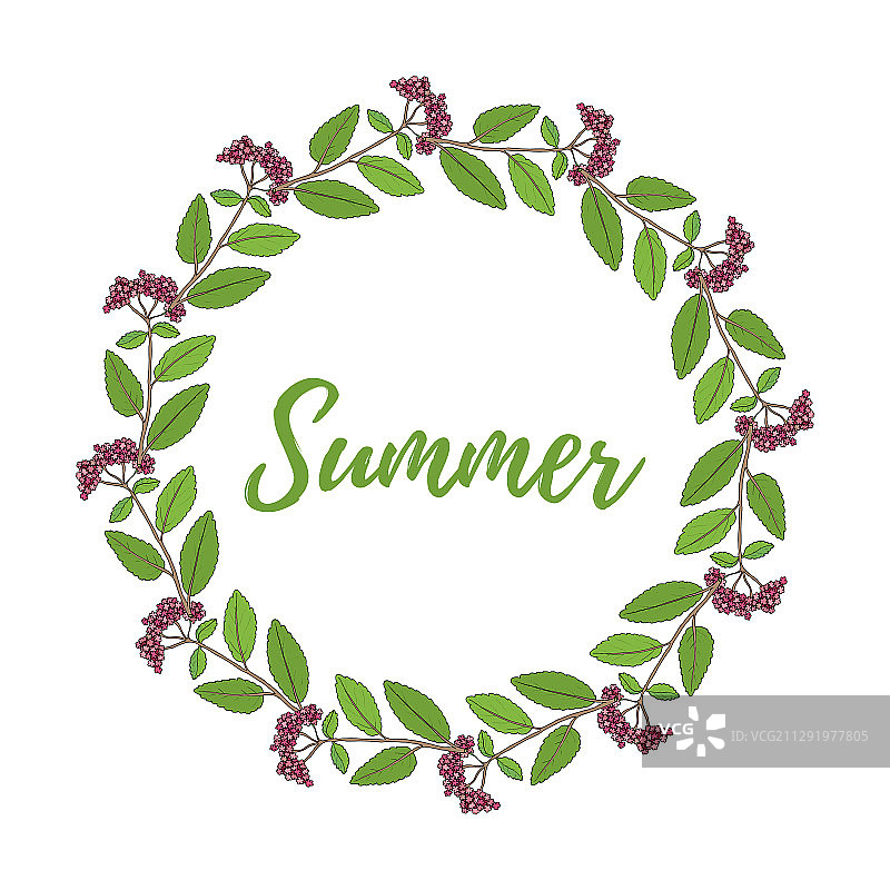 夏季花卉和树叶花框图片素材