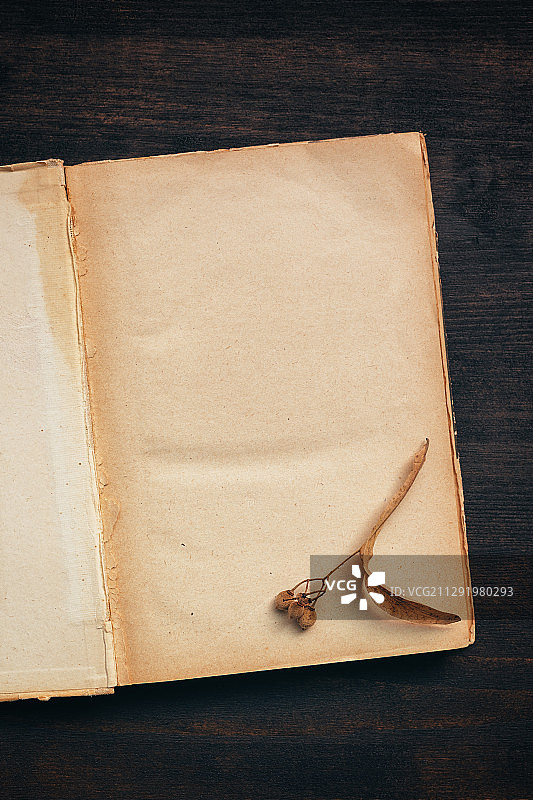 带复制空间的空白复古书页特写图片素材