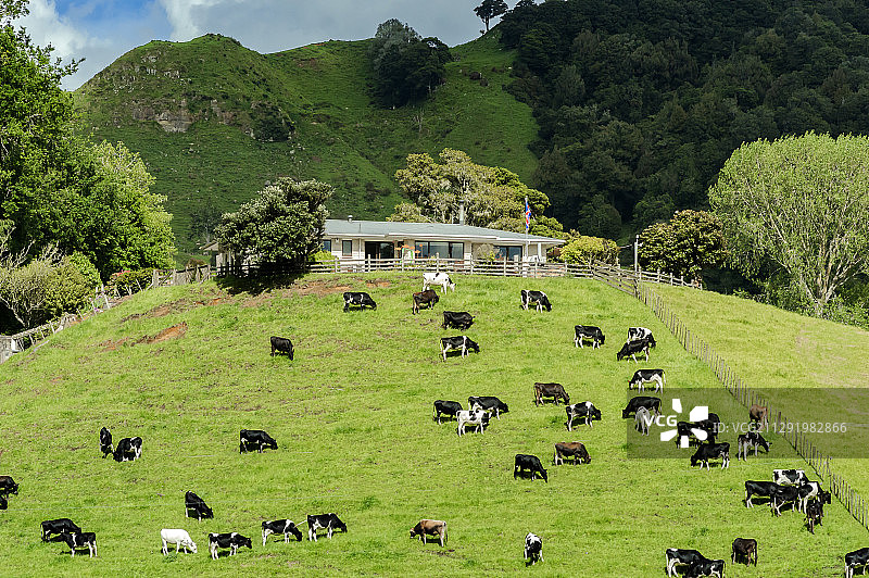 牧场人家图片素材