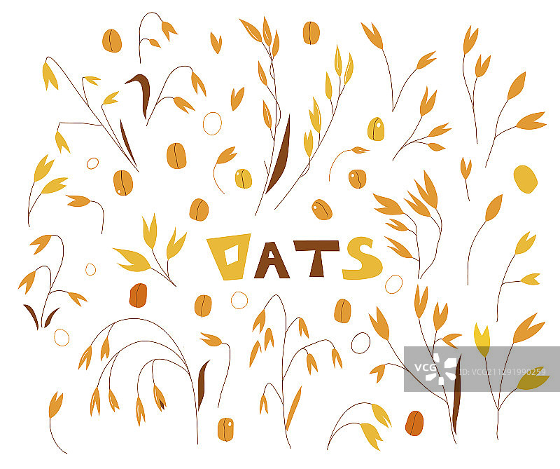 谷类植物农业有机作物图片素材