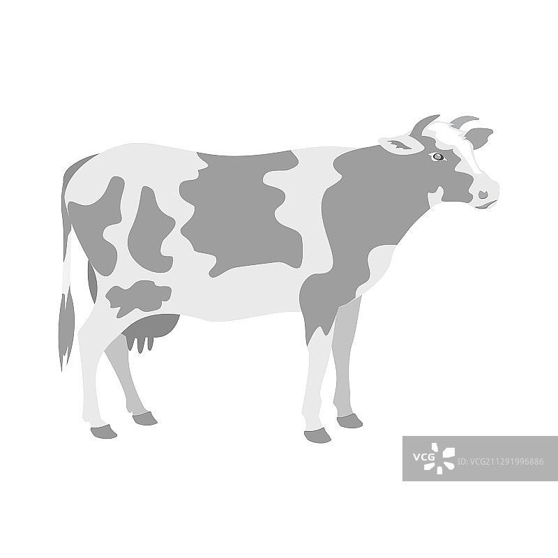 白色背景下的奶牛侧面轮廓图片素材