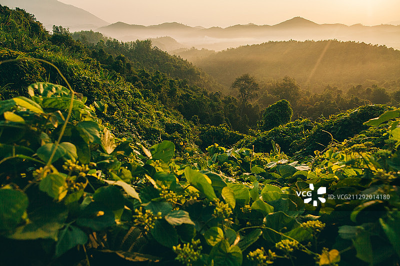 越南中部高原大叻热带雨林和日落山脉景观图片素材
