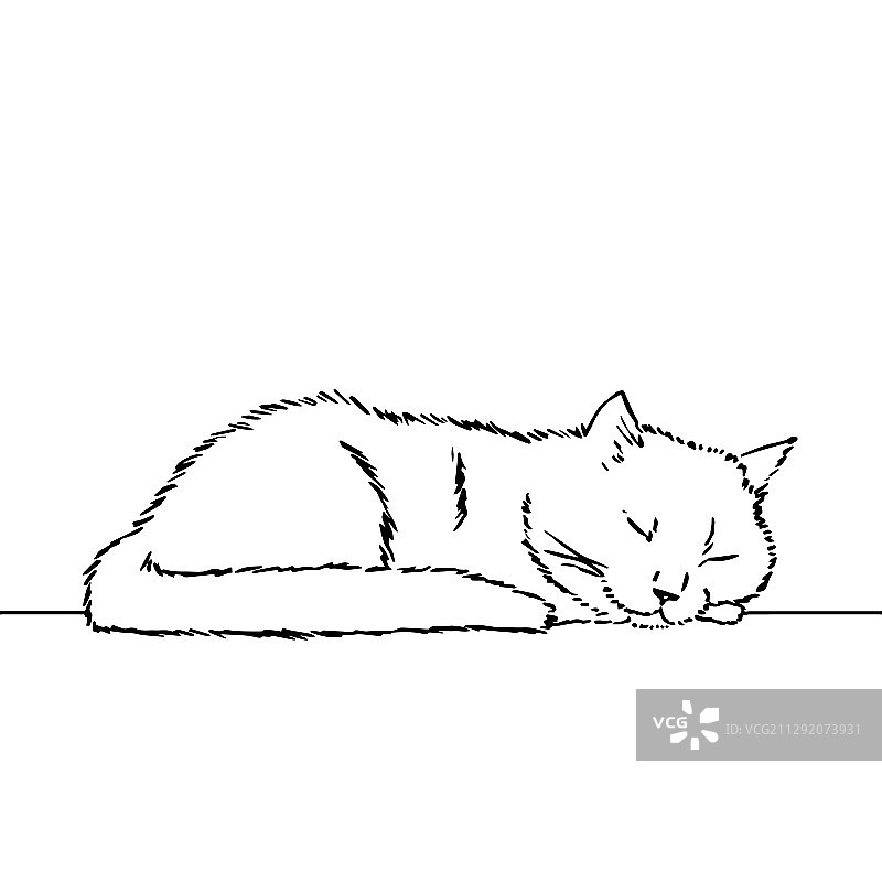 可爱睡猫的头部绘画图片素材