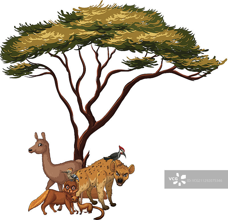 树下独立动物图片图片素材