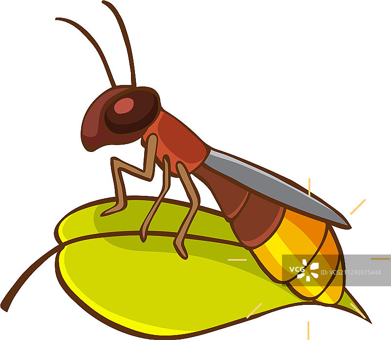 白色背景绿叶上的小萤火虫图片素材