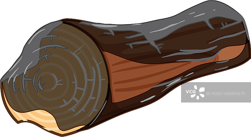 烧焦木头原木白色背景图片素材