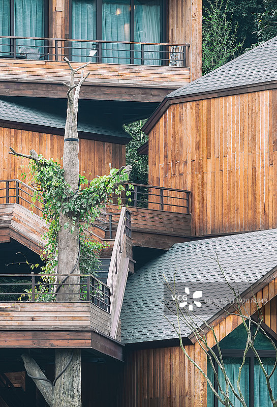 杭州萧山树屋局部建筑风光图片素材