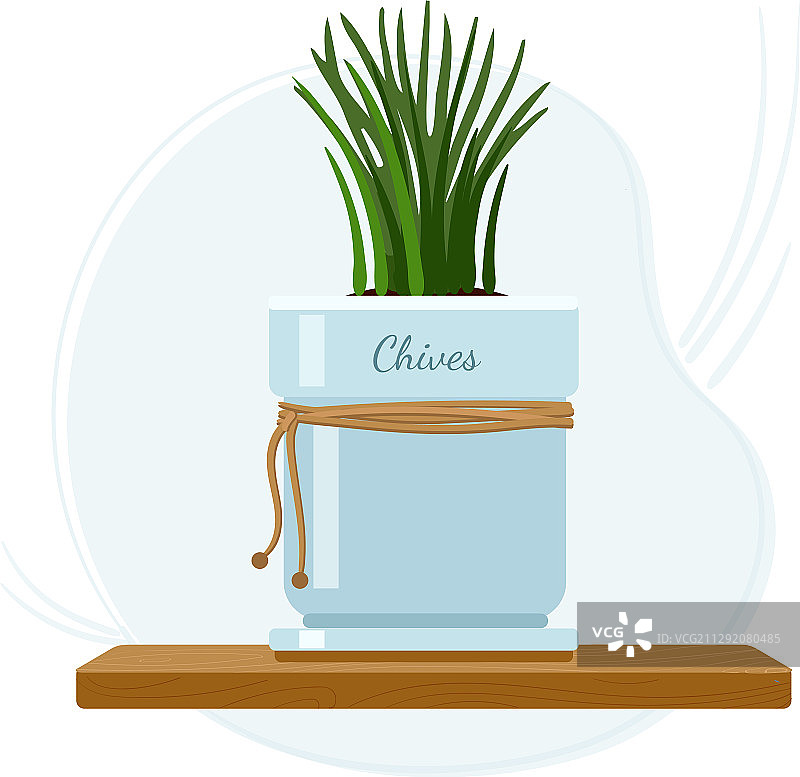 梅森罐中厨房窗台上的韭菜图片素材