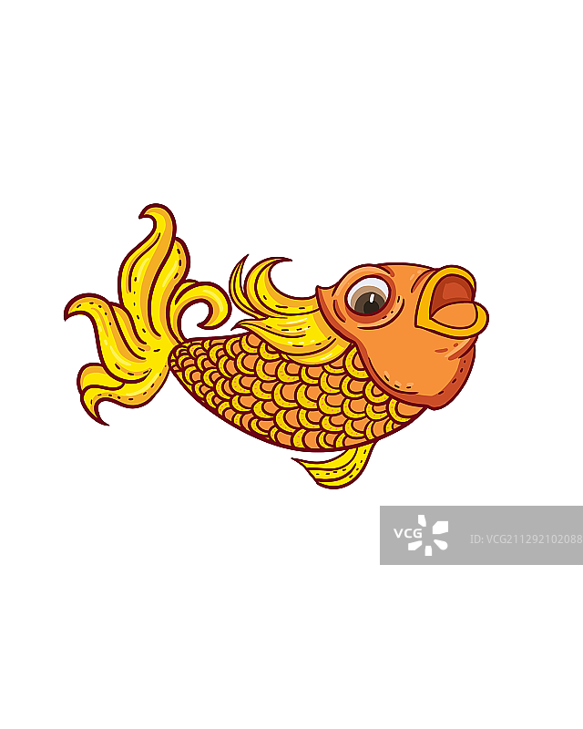 锦鲤图片素材