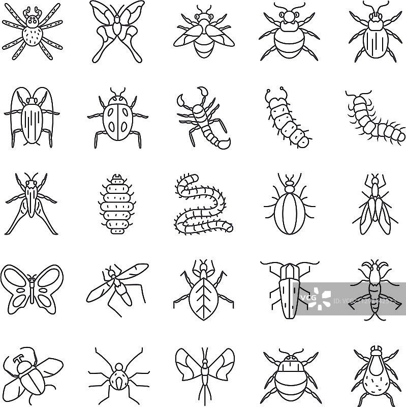 蚂蚁和昆虫图标线条细节风格图片素材