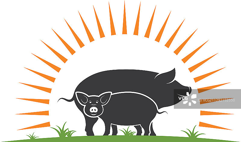 小猪图标设计图片素材