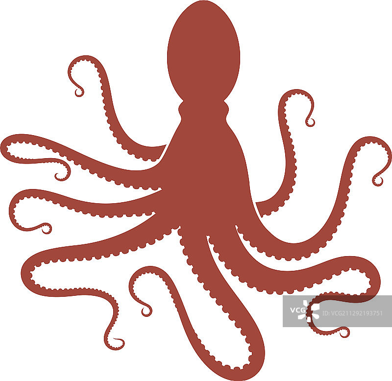 章鱼图片素材