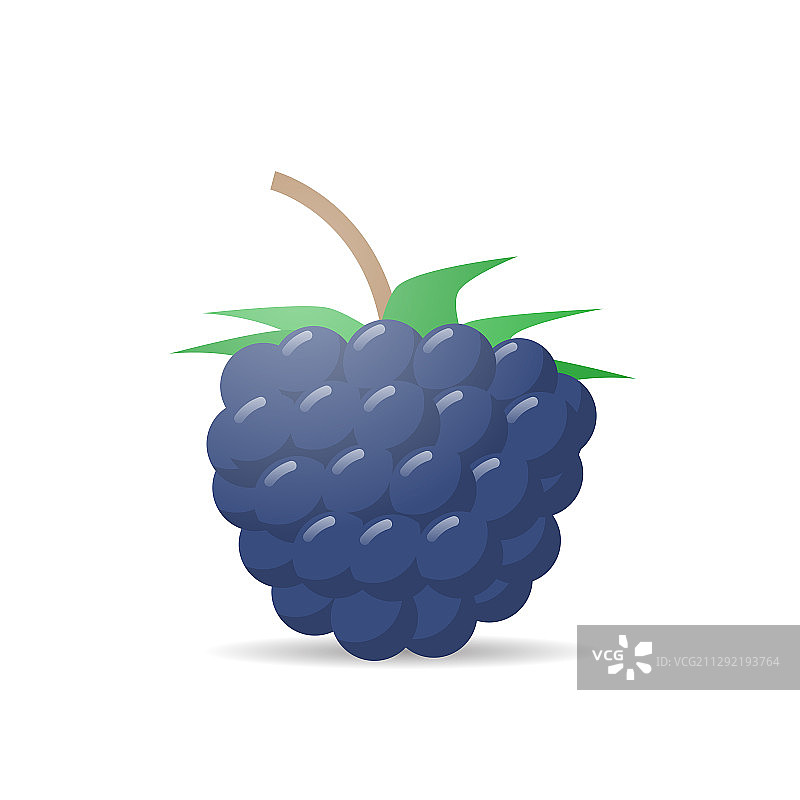 新鲜多汁的黑莓图标，美味成熟的水果图片素材