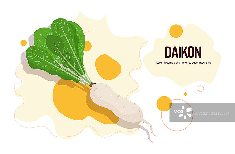 新鲜美味的白萝卜蔬菜图标图片素材