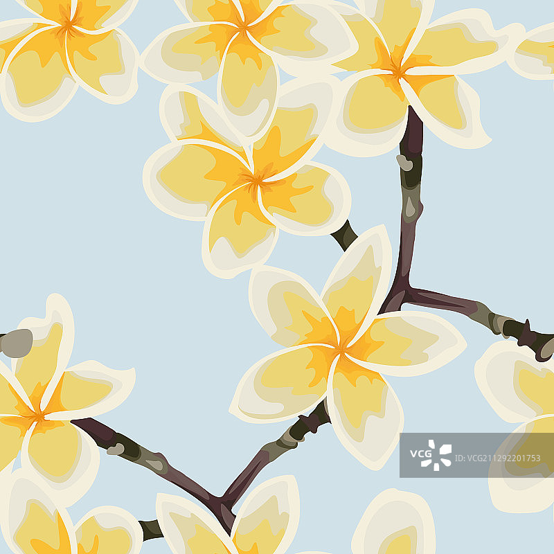 鸡蛋花图案背景图片素材