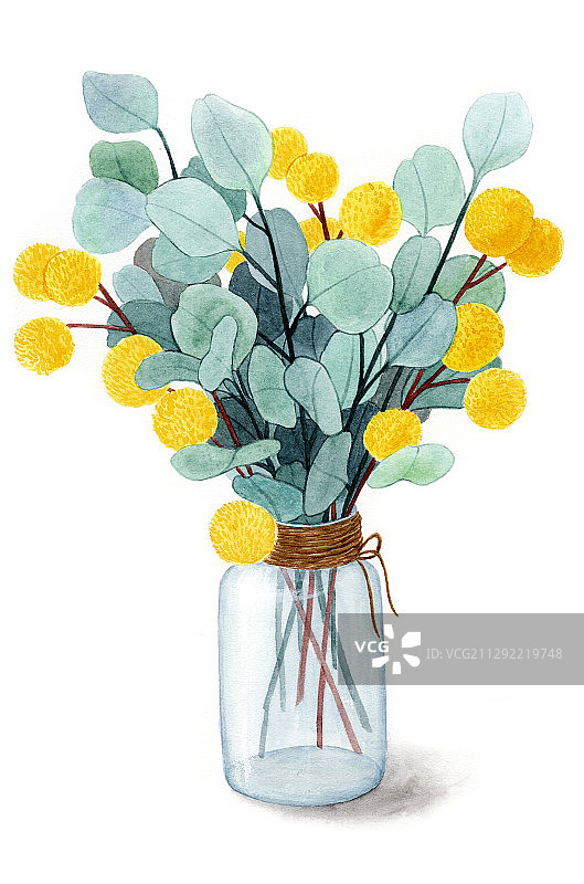 手绘水彩尤加利叶插花组合绘画插画图片素材