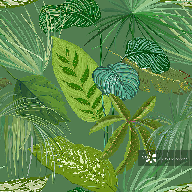 绿色热带树叶和树枝无缝图案图片素材