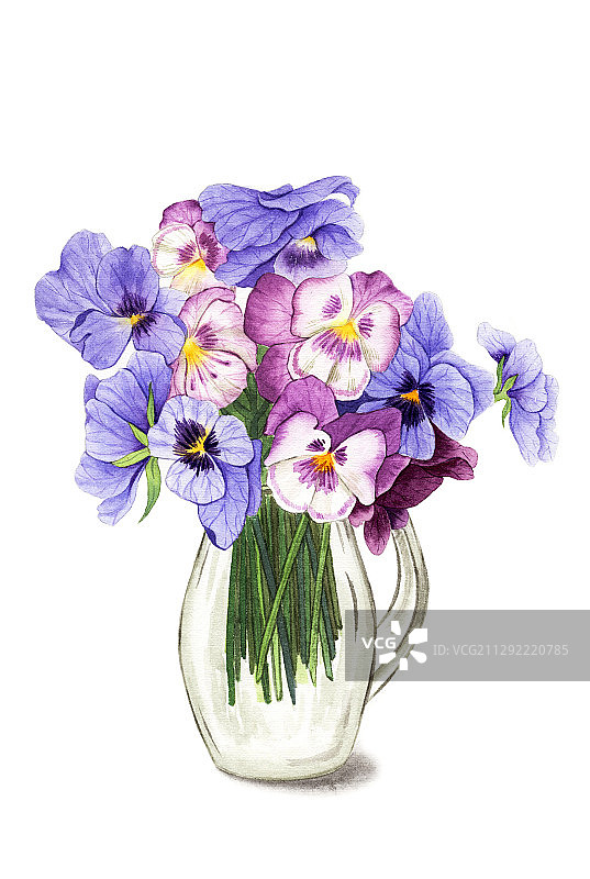 手绘水彩三色堇插花组合绘画插画图片素材