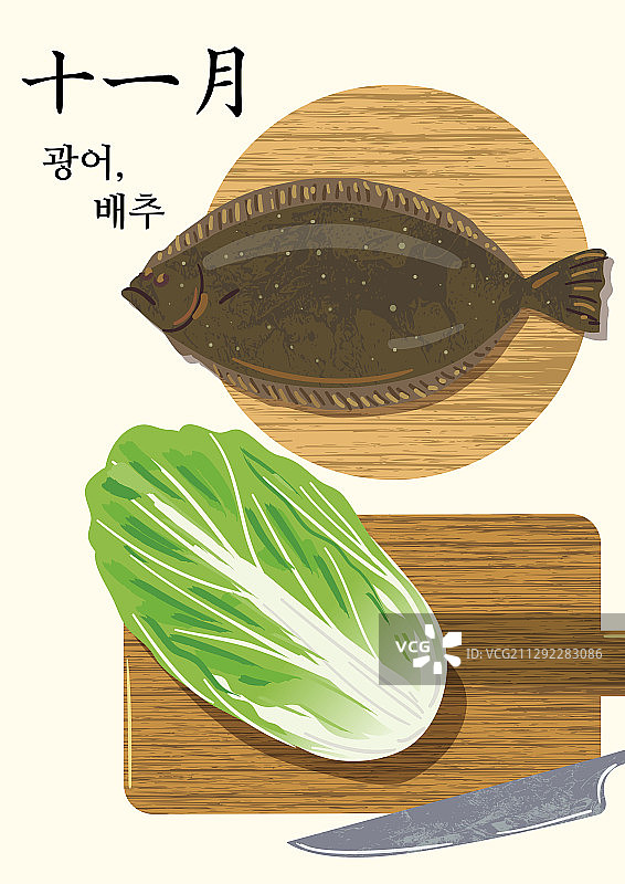食物，时令食品，顶角拍摄，九月，中国白菜，比目鱼图片素材