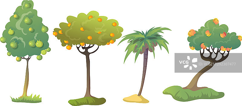 树冠茂盛的各种果树图片素材