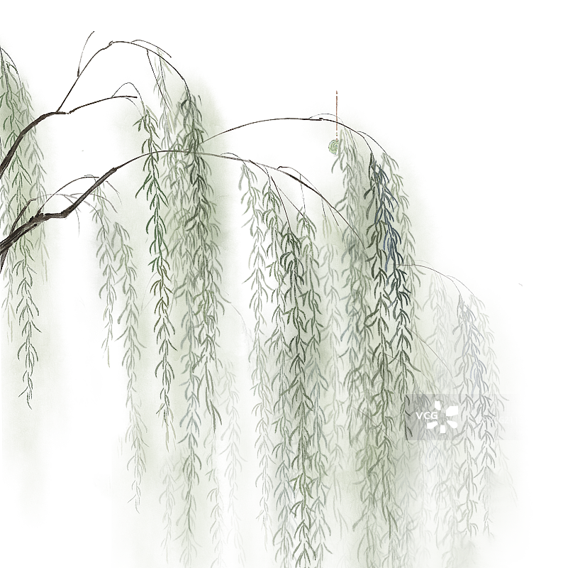 水墨清新柳树柳叶插画图片素材