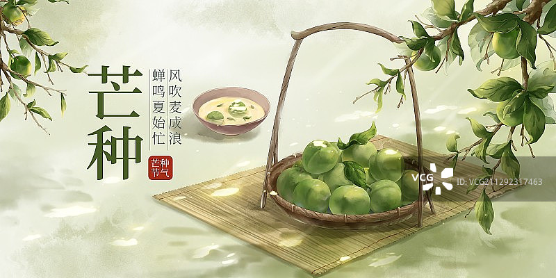 芒种图片素材