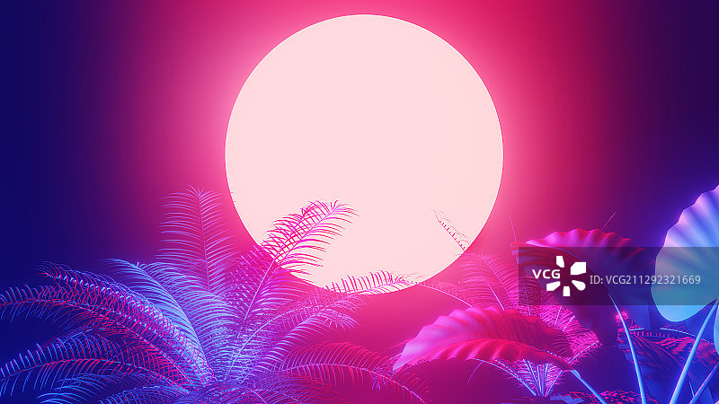 棕榈叶光影与霓虹灯光图片素材