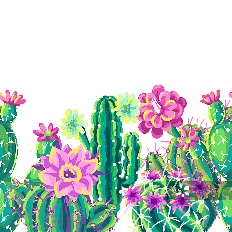 仙人掌和花卉无缝图案图片素材