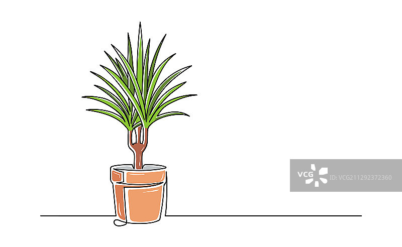 盆栽花卉的连续单线绘画图片素材