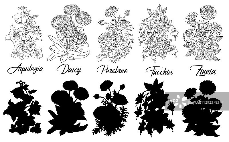 黑白花卉轮廓组合图片素材