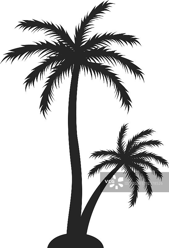 棕榈树平面设计模板图片素材