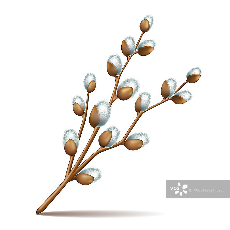 复活节开花的春季小树枝图片素材
