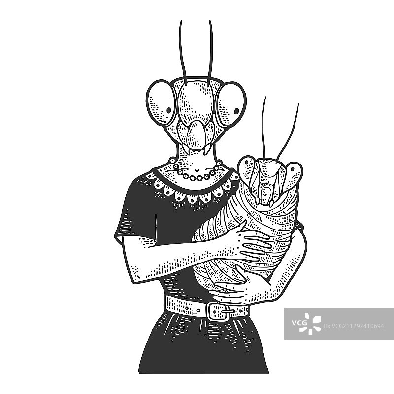 母亲与螳螂速写图片素材