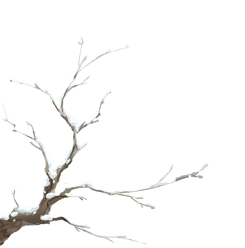 树枝元素图片素材