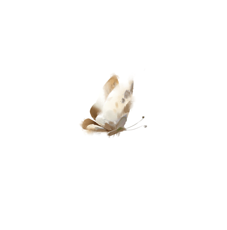 蝴蝶元素图片素材