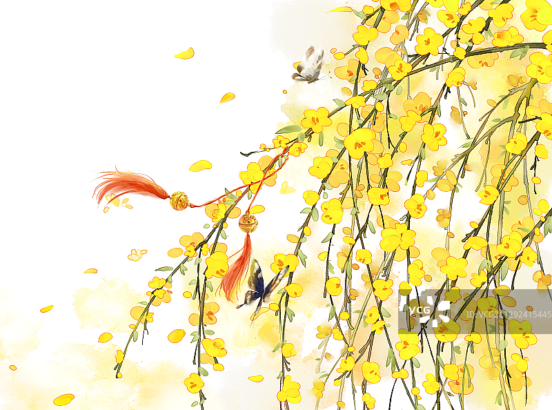 迎春花元素图片素材