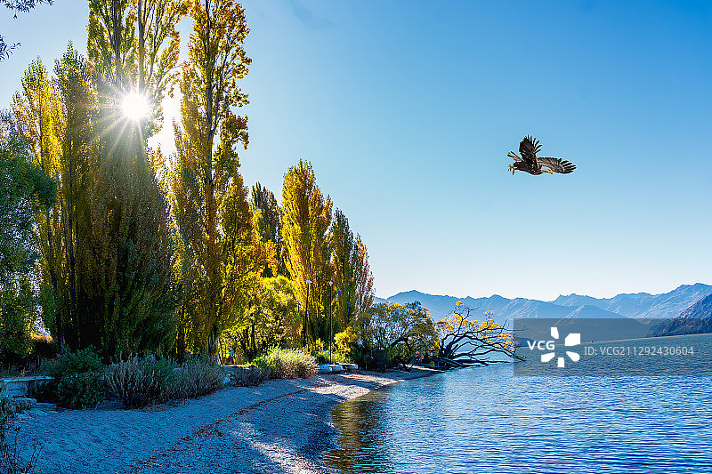 阳光湖景图片素材
