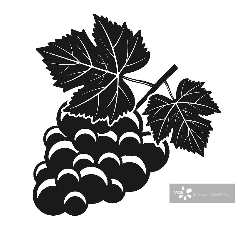 一串葡萄隔离元素图片素材
