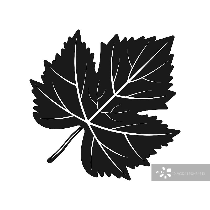 葡萄叶黑色剪影图片素材