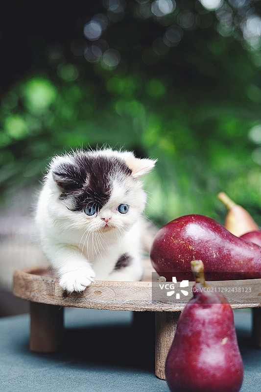 看起来很美味的样子图片素材