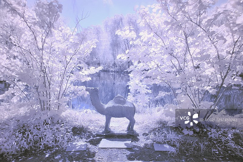 北京仰山公园（红外摄影）图片素材