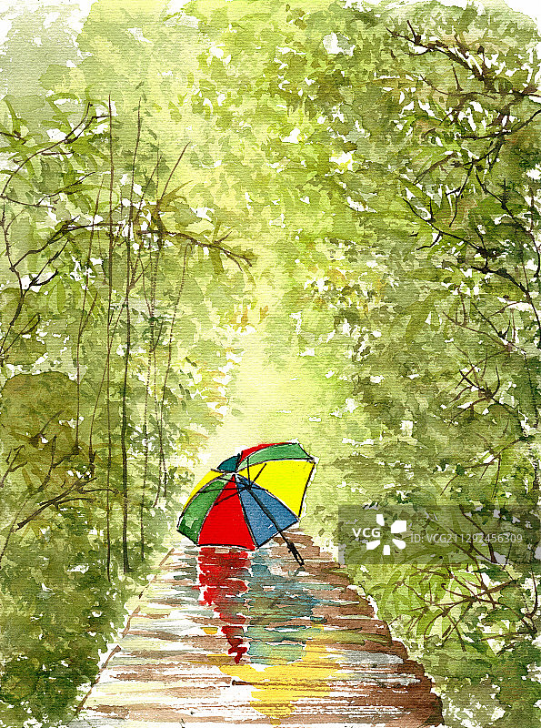 雨后的林间小道图片素材