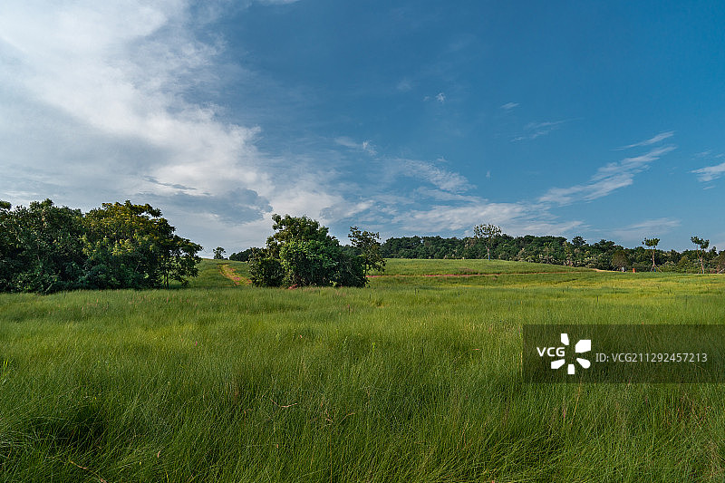 武汉二妃山生态公园图片素材