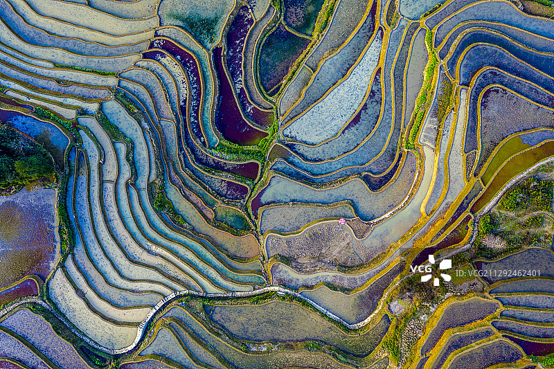 大地彩绘 云南省元阳图片素材