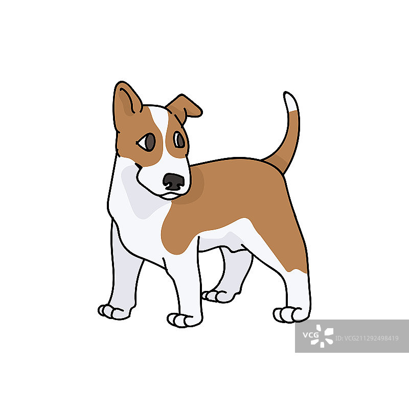 可爱的卡通牛头㹴幼犬图片素材